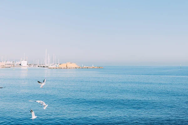 バルセロナ スペイン 2018 カモメが飛ぶと静かな青い海の美しい景色 — ストック写真