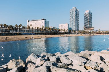 BARCELONA, SPAIN - DECEMBER 28, 2018: beautiful view of rocks, calm bay and high buildings on coast clipart