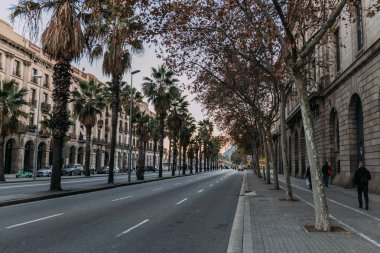 Barcelona, İspanya - 28 Aralık 2018: şehir binaları ve palmiye ağaçları ile karayolu ile sokak