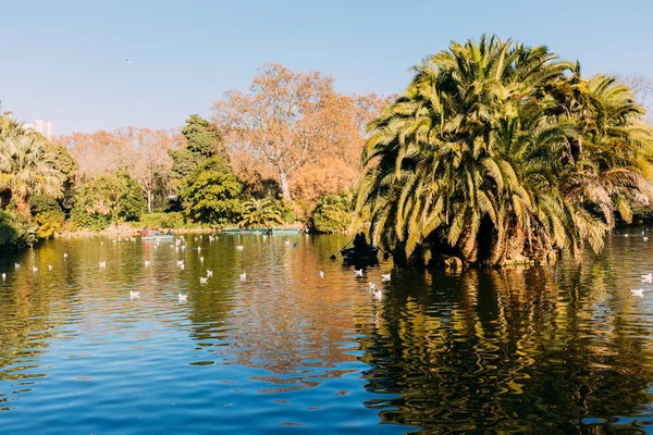 Schilderachtig Uitzicht Lake Met Weelderige Palmbomen Parc Ciutadella Barcelona Spanje — Stockfoto