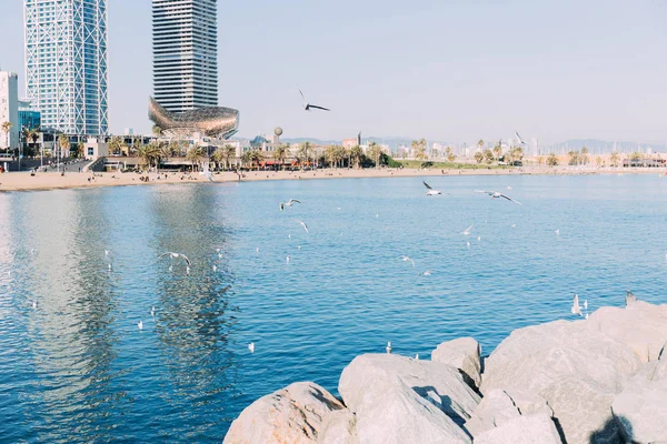 Barcelona Spain December 2018 Scenic View Calm Sea Skyscrapers Coast — Stock Photo, Image