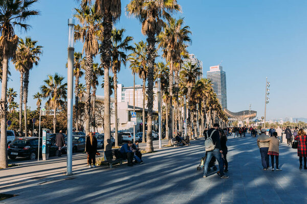 BARCELONA, SPAIN - DECEMBER 28, 2018: wide alley with tall green palm trees and walking people