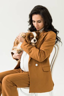 Sandalyede oturan ve üzerinde beyaz izole köpek tutarak kıvırcık hamile kadın 