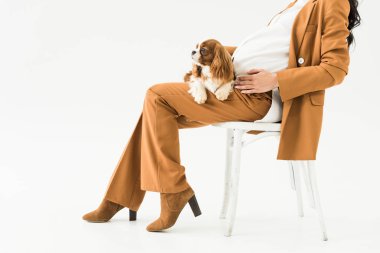 Partial view of pregnant woman in brown suit sitting on chair with dog on knees on white background clipart