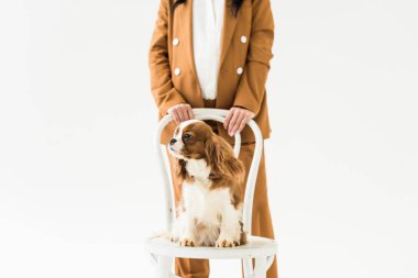 Cropped view of pregnant woman in brown suit standing near cute dog isolated on white  clipart