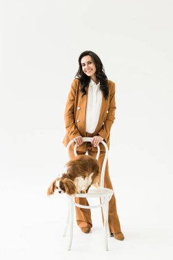 Harika hamile kadın kahverengi takım ayakta beyaz arka plan üzerinde sandalyeye köpek yakınındaki