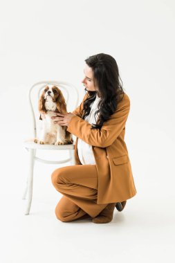 Yakın sandalyede oturan ve beyaz arka plan üzerinde köpek okşayarak hamile kadın