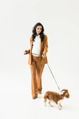 Curly pregnant woman in suit walking with dog on white background clipart