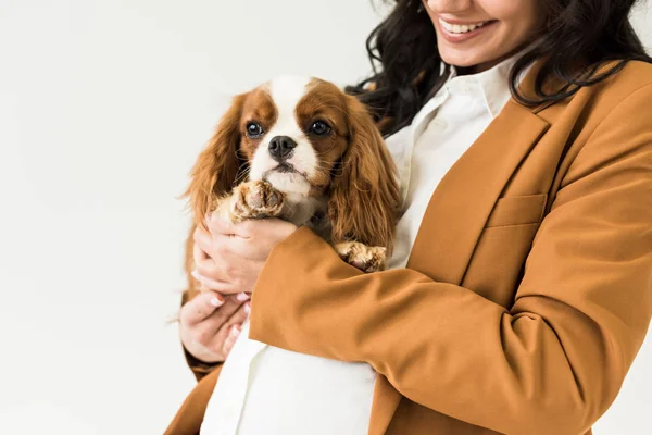 Beyaz Izole Köpek Tutan Gülümseyen Hamile Kadın Görünümünü Kırpılmış — Stok fotoğraf