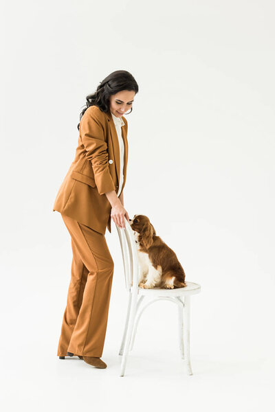 Beautiful pregnant woman in suit looking at dog on chair on white background