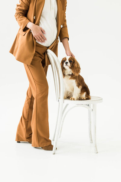 Cropped view of pregnant woman touching dog on white background