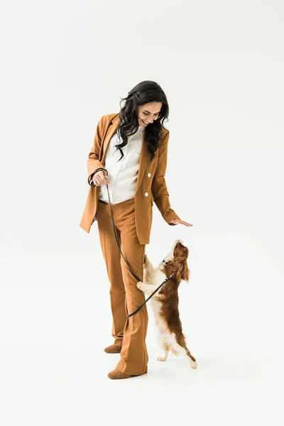 Smiling pregnant woman in brown suit playing with dog on white background — Stock Image Smiling Pregnant Woman Brown Suit Playing Dog White Background Stock Photo