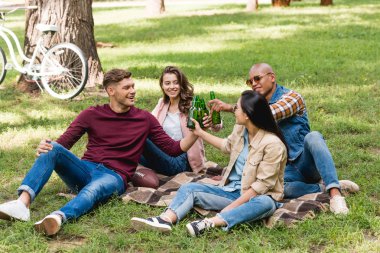 ekose battaniye var oturma ve park şişelerde tungur arkadaşlar çok ırklı grup