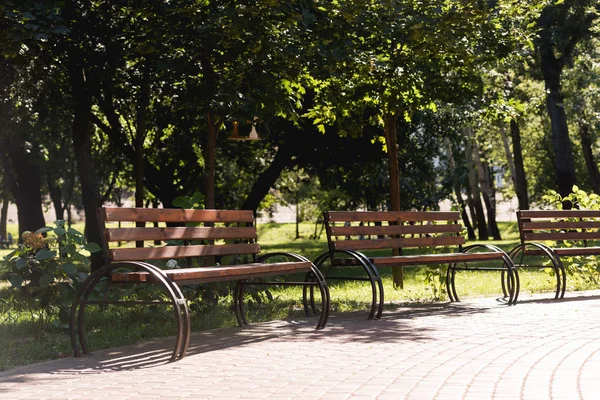 Solsken Träbänkar Grön Lugn Park — Stockfoto