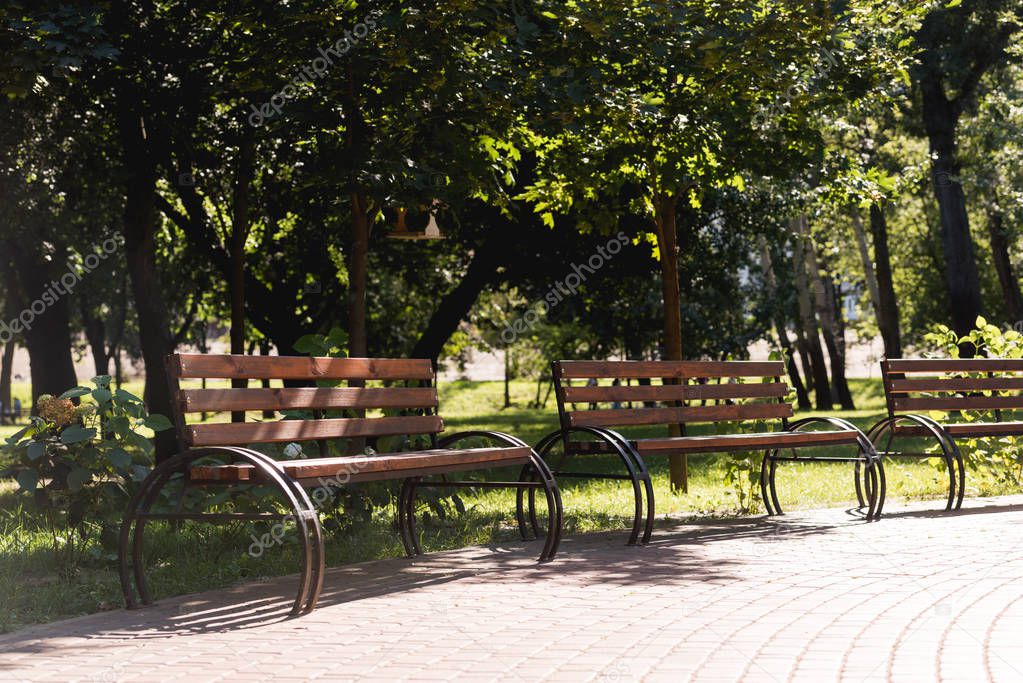 sunshine on wooden benches in green peaceful park 