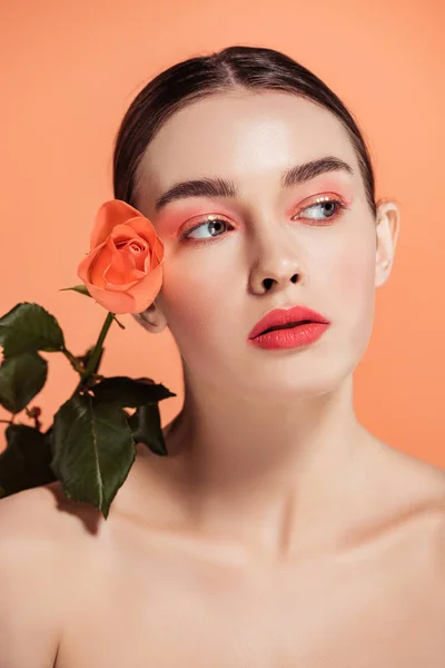 Menina Elegante Atraente Posando Com Flor Rosa Olhando Para Longe — Fotografia de Stock