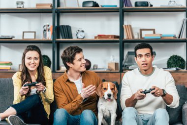 Beagle köpek tutarak joystick ve video oyunları oynarken ile üç çok ırklı arkadaşlar