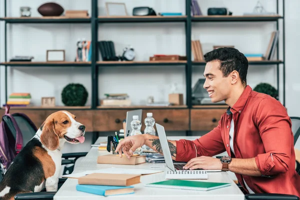 Estudiante Alegre Mirando Perro Beagle Mientras Estudia Escritorio — Foto de Stock