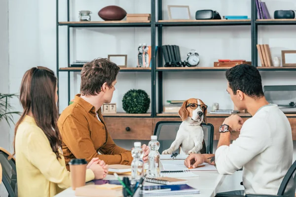 Tres Estudiantes Con Cuadernos Sentados Escritorio Mirando Perro Beagle Gafas — Foto de Stock