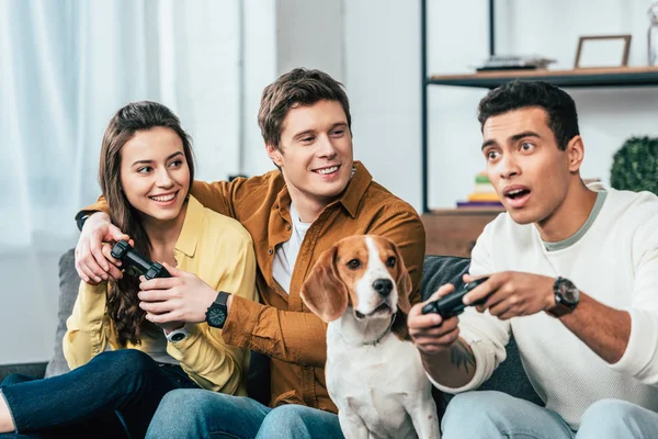 Three multiethnic friends with beagle dog holding joysticks and playing video games