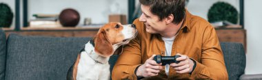 Kanepede oturan ve köpek bakarak gamepad ile gülümseyen genç adam panoramik çekim