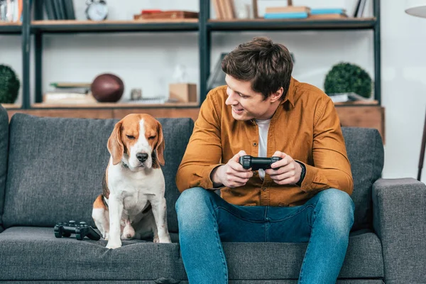 Jovem Sorridente Com Gamepad Sentado Sofá Olhando Para Cão — Fotografia de Stock