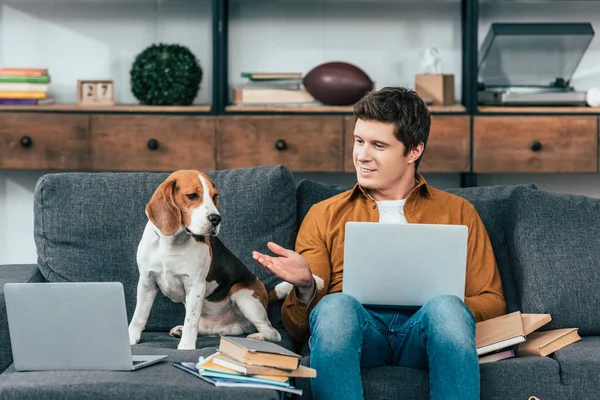 Cheerful Student Books Laptop Sitting Sofa Beagle Dog — Stock Photo, Image