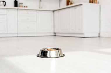 köpek maması mutfakta beyaz zemin üzerinde metal bir kase 