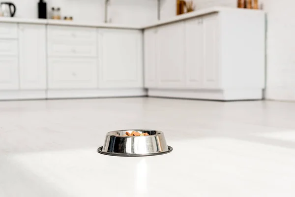 キッチンの白い床にドッグフードを金属製のボウル — ストック写真