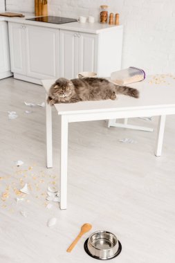  şirin ve Gri kedi beyaz masanın üzerinde yatan ve uzak dağınık mutfakta arıyorsunuz