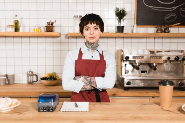 sayaç çapraz kolları olan bar, güzel barista ayakta ve kameraya bakıyor