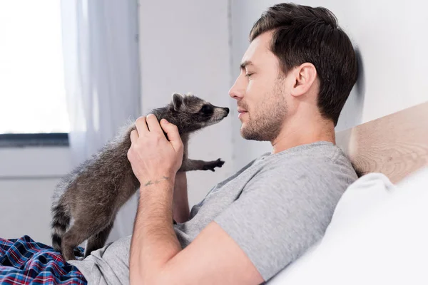 Handsome Man Cuddling Funny Raccoon Bedroom Home — Stock Photo, Image