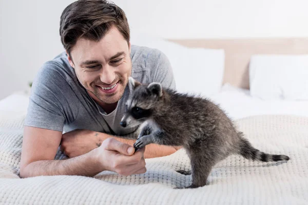 Hombre Guapo Jugando Con Mapache Divertido Ropa Cama Casa —  Fotos de Stock