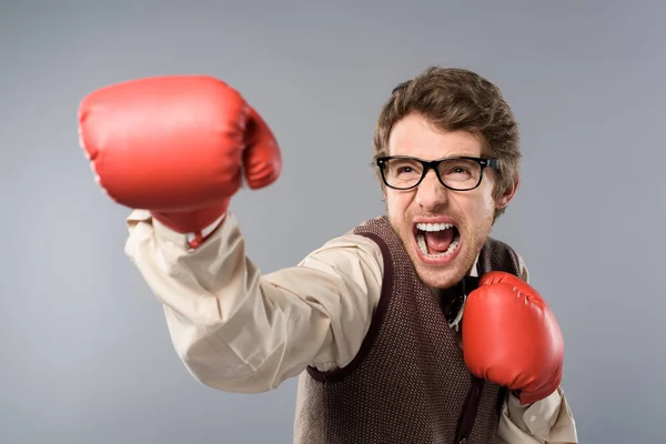 Homem Zangado Óculos Luvas Boxe Gritando Fundo Cinza — Fotografia de Stock