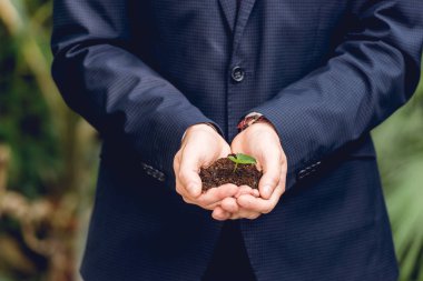 partial view of businessman in suit holding green sprout and ground in hands in orangery clipart