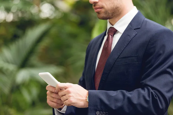 Vista Ritagliata Uomo Affari Giacca Cravatta Utilizzando Smartphone Serra — Foto Stock