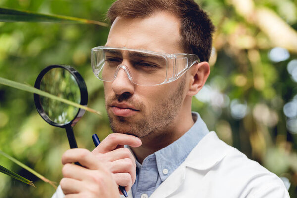 thoughtful scientist in white coat and goggles examining plants with loupe in green orangery