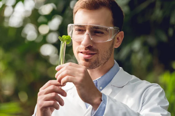 微笑英俊的科学家在白色外套和护目镜拿着烧瓶与植物样品在橘子 — 图库照片