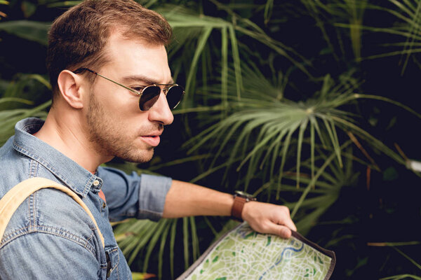 handsome tourist in sunglasses holding map in green tropics
