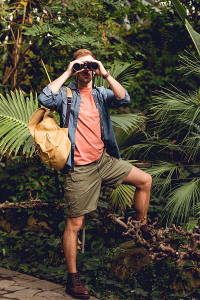 взрослый путешественник с рюкзаком смотрит через бинокль в тропическом зеленом лесу
