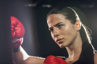 Siyah üzerinde delme çantası ile yorgun Boxer eğitim seçici odak