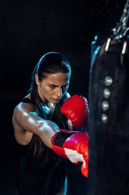 Siyah üzerinde su damlaları altında kırmızı boks eldiven eğitim dalgın Boxer yüksek açı görünümü