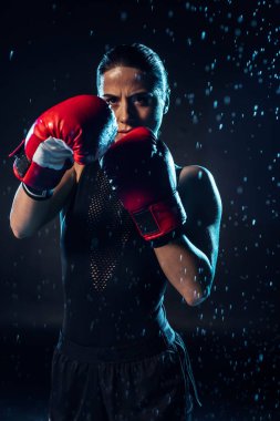 Siyah üzerinde su damlaları altında ayakta kırmızı boks eldiven konsantre Boxer