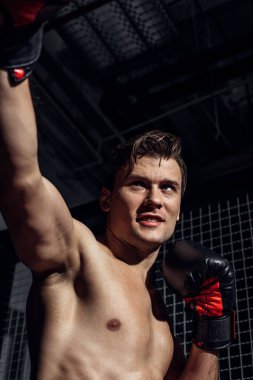 Boks eldiven uzak görünümlü Boxer düşük açı görünümü