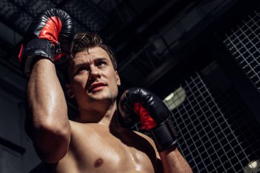 Boks eldiven uzak görünümlü Boxer düşük açı görünümü