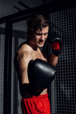 Yakışıklı Boxer içinde siyah boks eldiven eğitim ile gülümseme