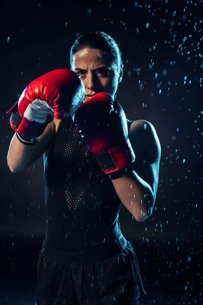 Konzentrierter Boxer Roten Boxhandschuhen Der Unter Wassertropfen Auf Schwarz Steht — Stockfoto