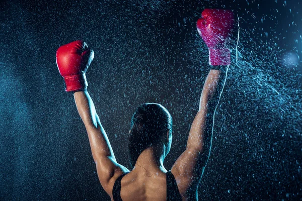 Back View Van Boxer Het Rood Bokshandschoenen Tonen Gebaar Zwart — Stockfoto