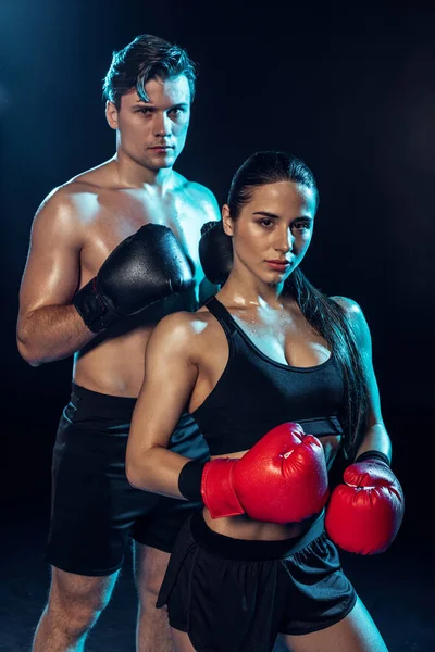 Two boxers in boxing gloves looking at camera on black