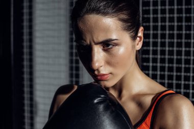Siyah boks eldiven konsantre güzel boksör uzağa bakıyor